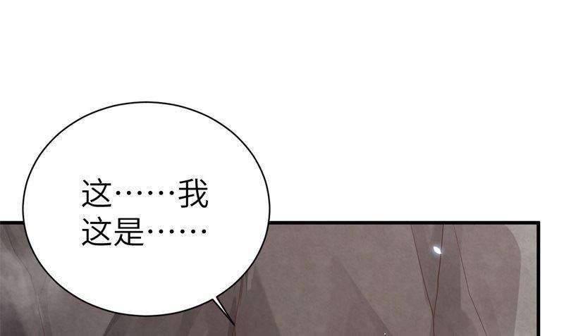 修真奶爸惹不起087 为夫来迟了