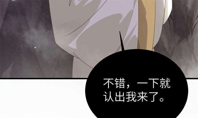 修真奶爸惹不起087 为夫来迟了