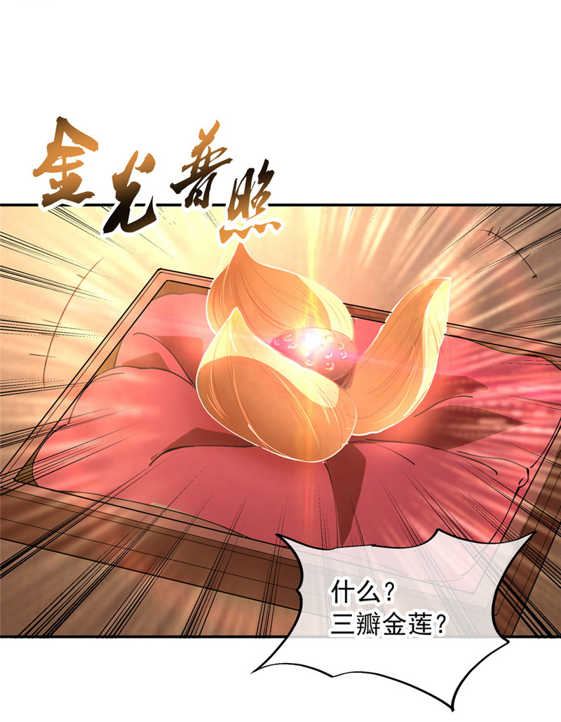 绝世战魂第103话 拍卖大会