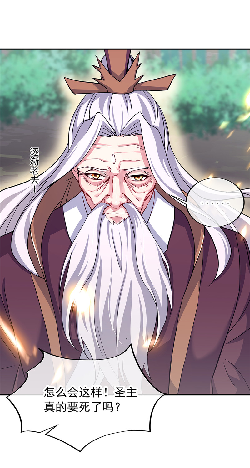 绝世战魂第295话 圣主相护