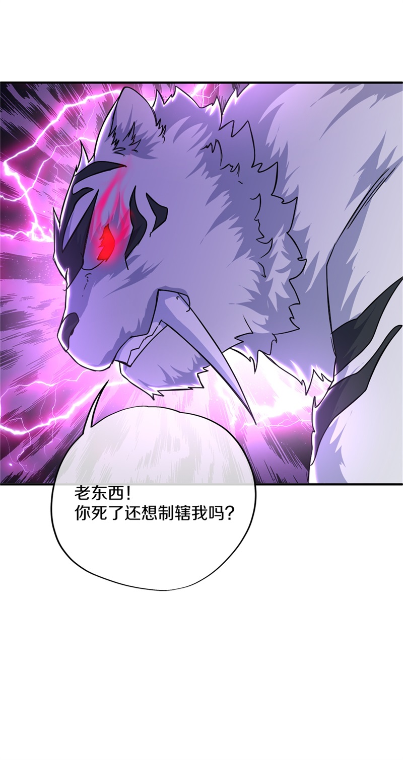 绝世战魂第340话 尘埃落定