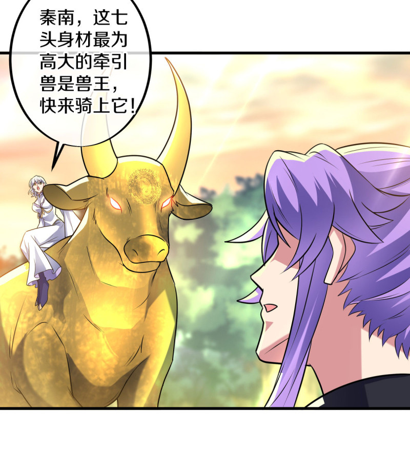 绝世战魂第431话 璀璨之地