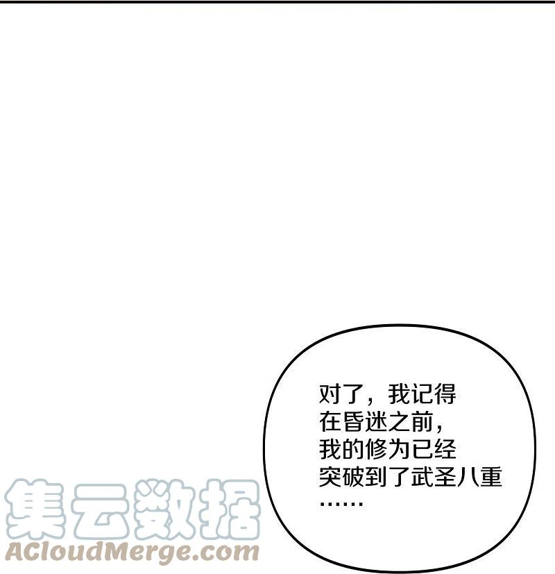 绝世战魂385话 掳走