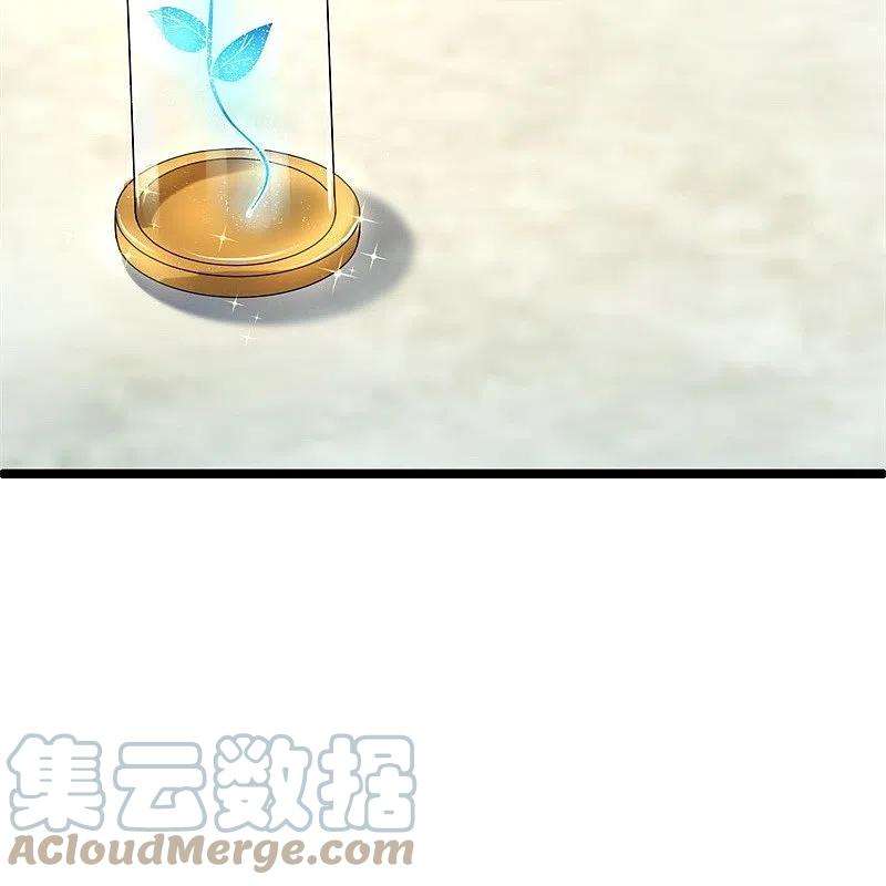 绝世战魂424话 换物