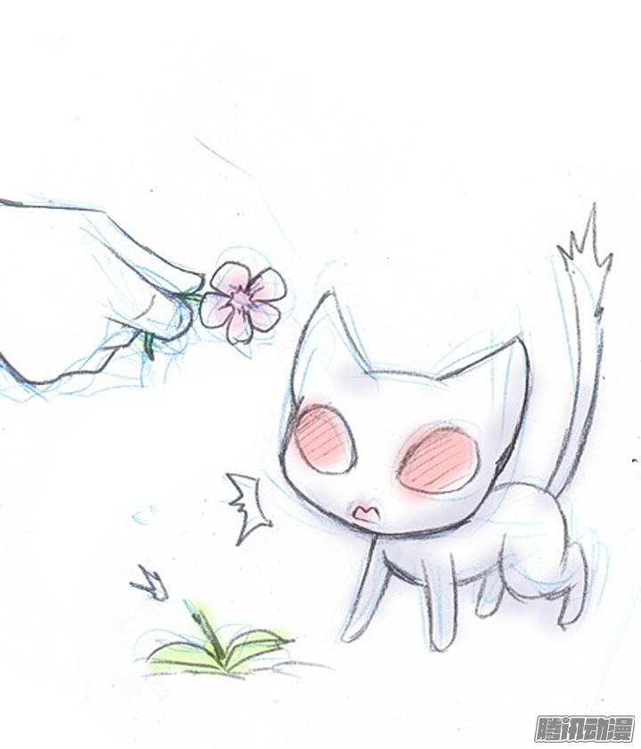 我家大师兄脑子有坑番外：飞星喵1 一个梦