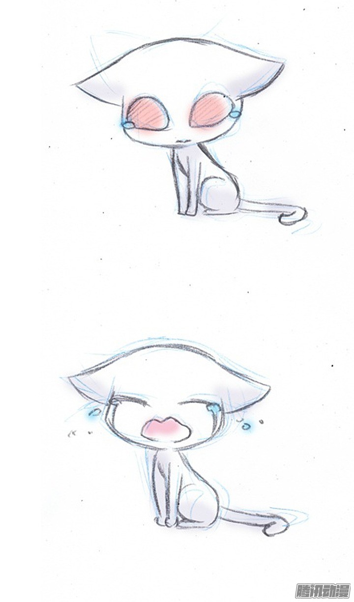 我家大师兄脑子有坑番外：飞星喵1 一个梦