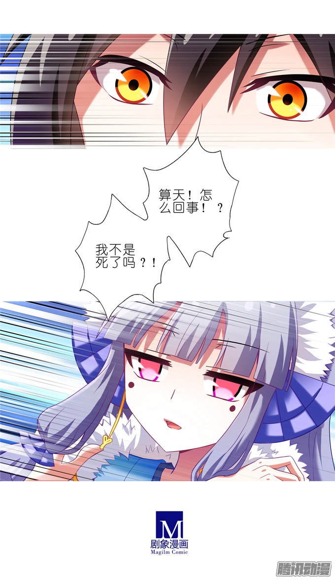 我家大师兄脑子有坑第170坑 你知道你死了意味着什