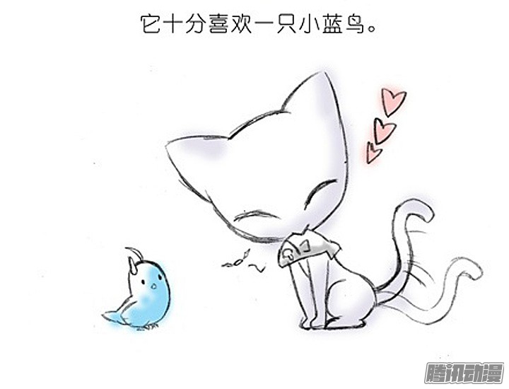 我家大师兄脑子有坑番外：飞星喵2.为什么不喜欢我？