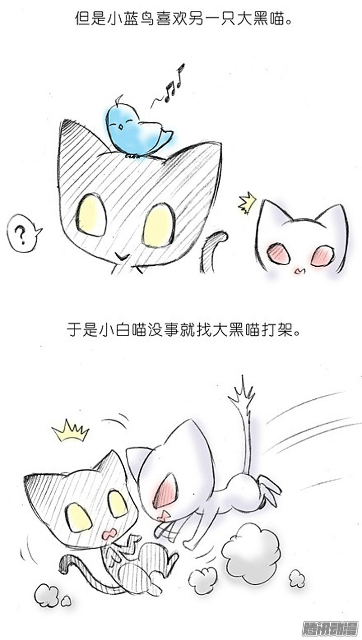 我家大师兄脑子有坑番外：飞星喵2.为什么不喜欢我？