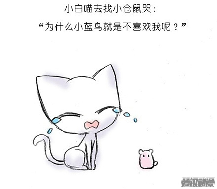 我家大师兄脑子有坑番外：飞星喵2.为什么不喜欢我？