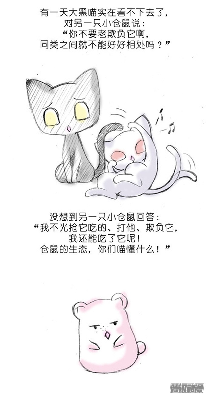 我家大师兄脑子有坑番外：飞星喵3.你们喵不懂