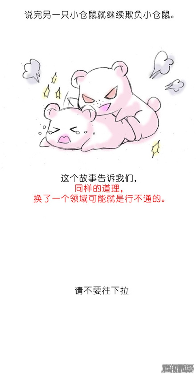 我家大师兄脑子有坑番外：飞星喵3.你们喵不懂