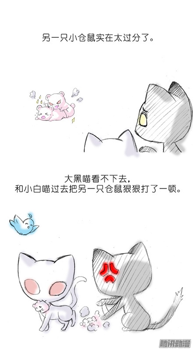 我家大师兄脑子有坑番外：飞星喵3.你们喵不懂