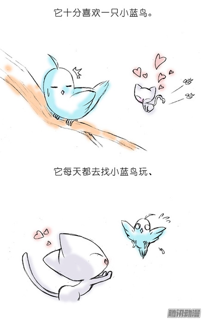 我家大师兄脑子有坑番外：飞星喵4.我好喜欢小蓝鸟的