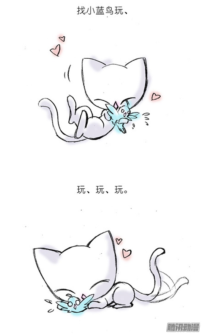 我家大师兄脑子有坑番外：飞星喵4.我好喜欢小蓝鸟的