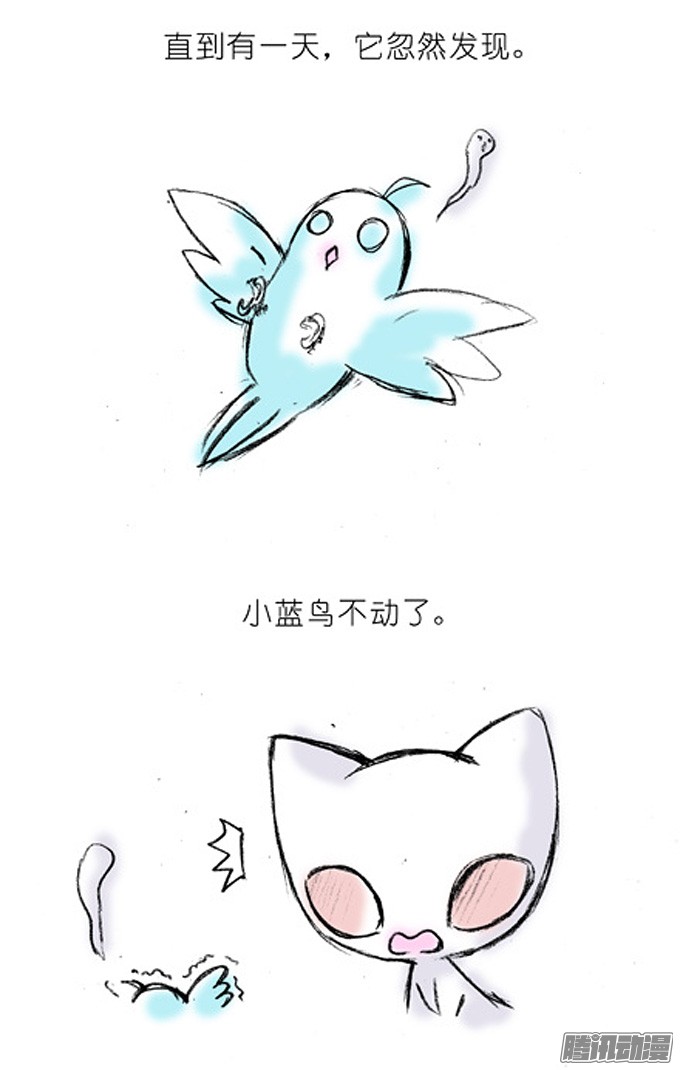 我家大师兄脑子有坑番外：飞星喵4.我好喜欢小蓝鸟的