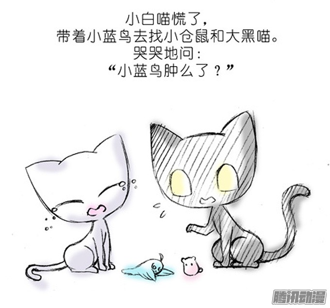 我家大师兄脑子有坑番外：飞星喵4.我好喜欢小蓝鸟的