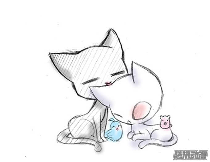 我家大师兄脑子有坑番外：飞星喵5.如果大家是动物