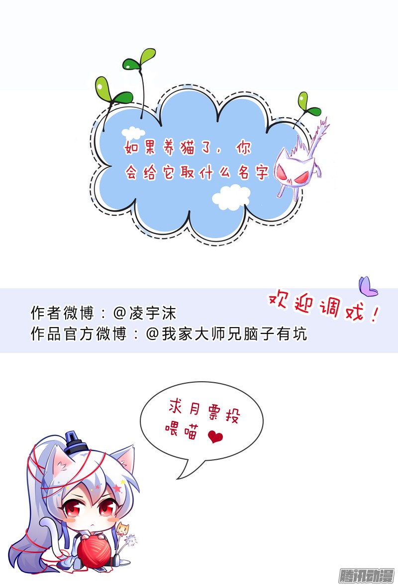 我家大师兄脑子有坑番外：突然想养一只猫~1