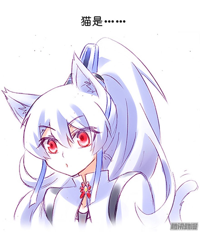 我家大师兄脑子有坑番外：飞星喵6-15合集