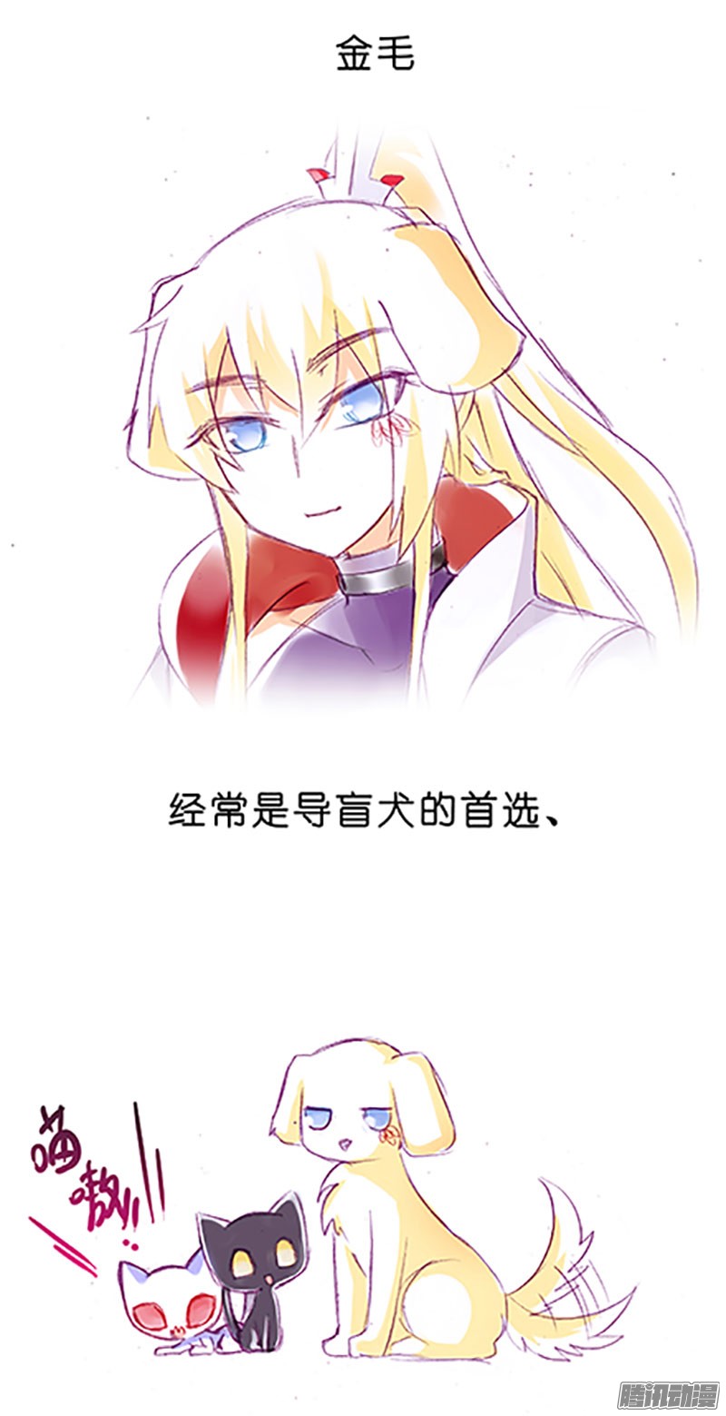 我家大师兄脑子有坑番外：飞星喵6-15合集