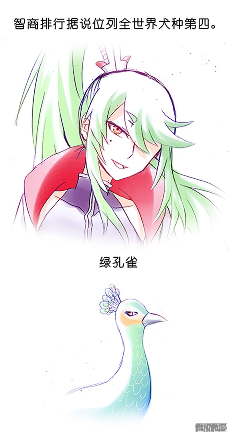 我家大师兄脑子有坑番外：飞星喵6-15合集