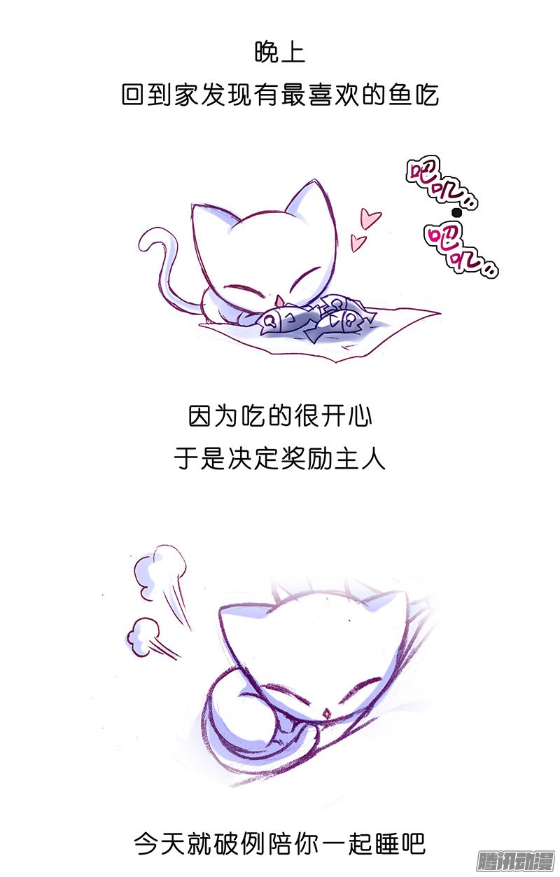 我家大师兄脑子有坑番外：飞星喵6-15合集