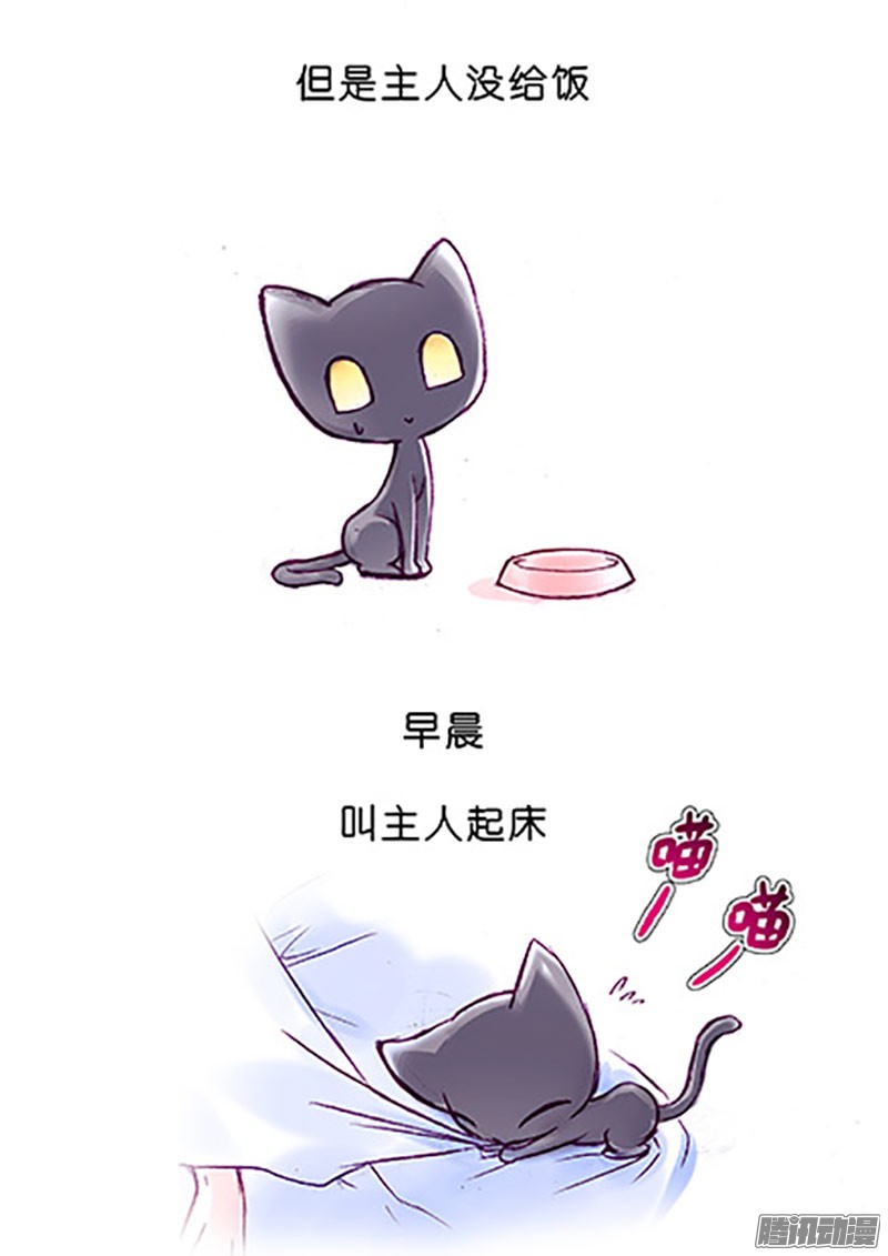 我家大师兄脑子有坑番外：飞星喵6-15合集
