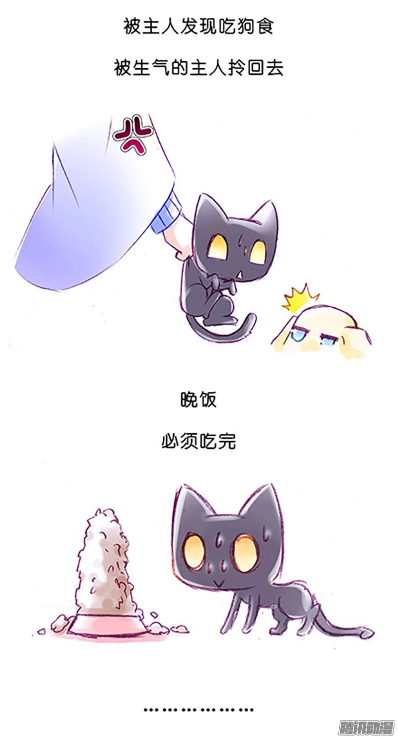 我家大师兄脑子有坑番外：飞星喵6-15合集