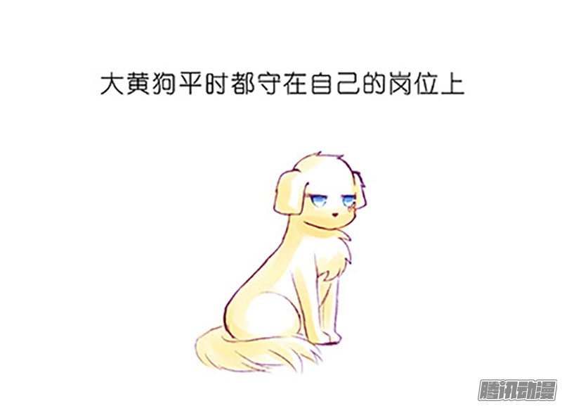 我家大师兄脑子有坑番外：飞星喵6-15合集