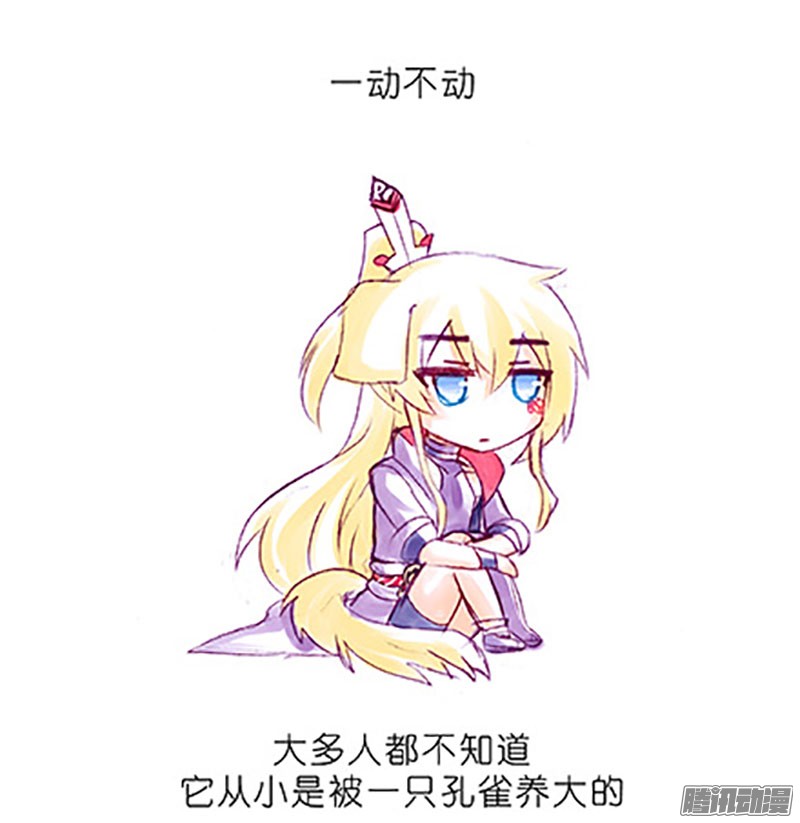 我家大师兄脑子有坑番外：飞星喵6-15合集