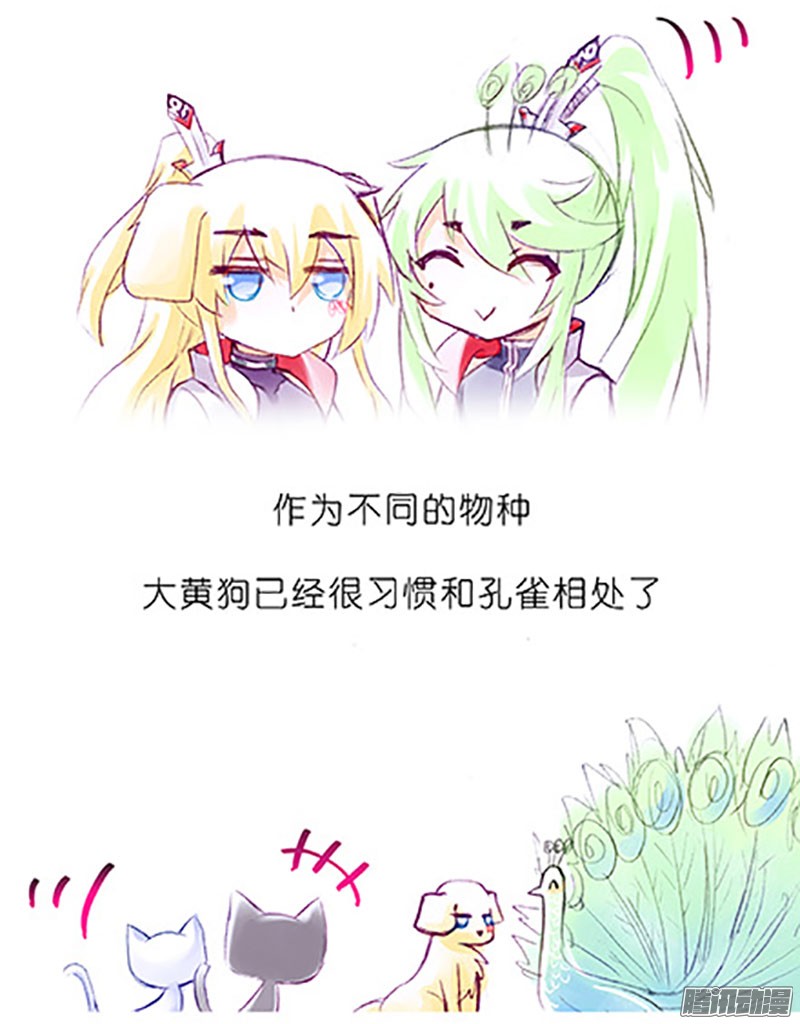 我家大师兄脑子有坑番外：飞星喵6-15合集