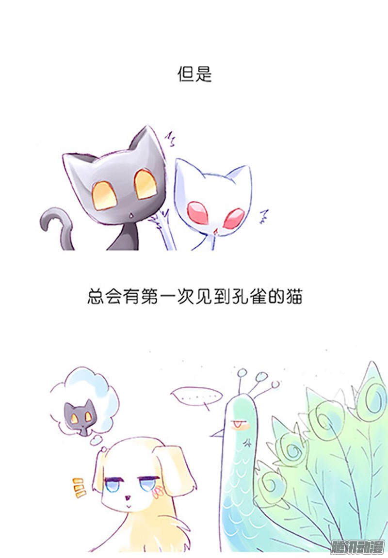 我家大师兄脑子有坑番外：飞星喵6-15合集