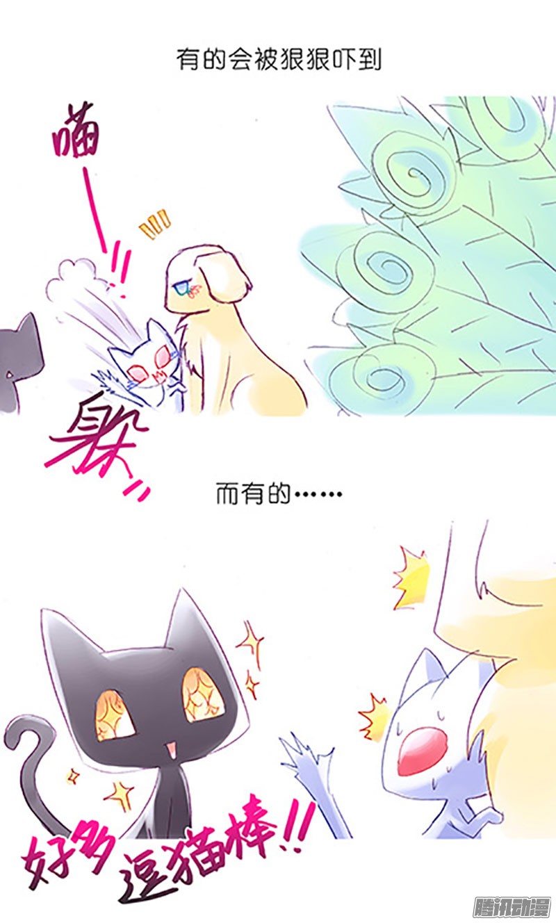我家大师兄脑子有坑番外：飞星喵6-15合集