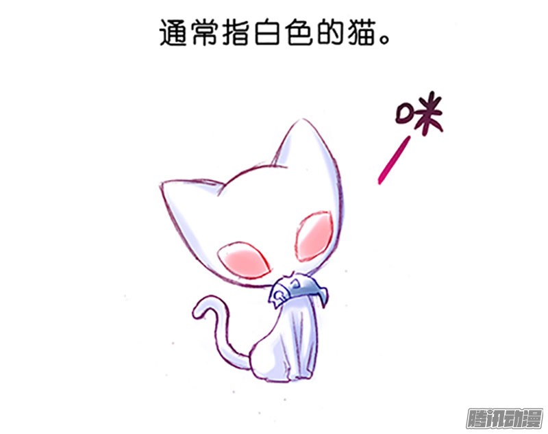 我家大师兄脑子有坑番外：飞星喵6-15合集