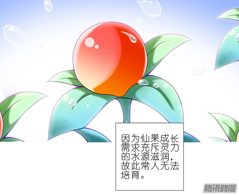 我家大师兄脑子有坑番外：修真界大百科一