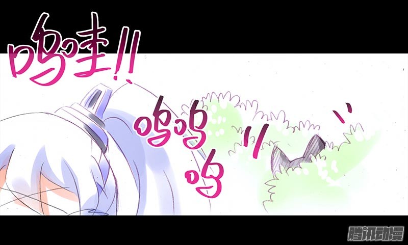 我家大师兄脑子有坑番外：忽然养只猫3