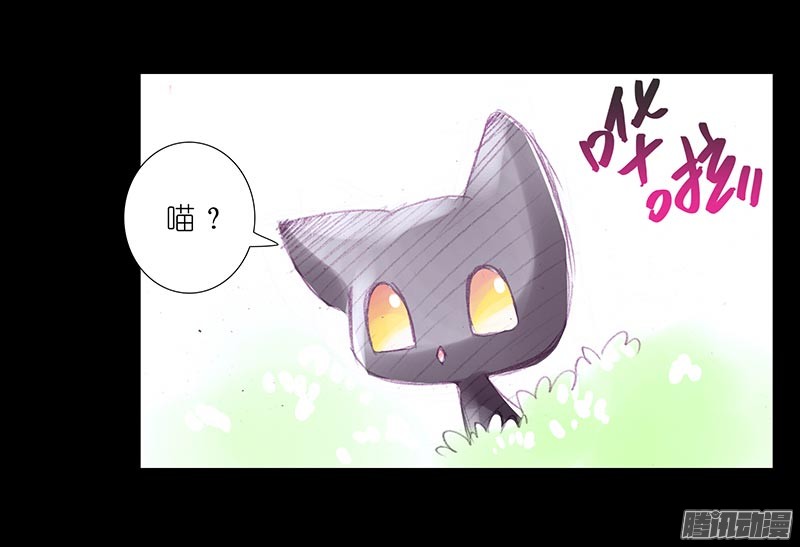 我家大师兄脑子有坑番外：忽然养只猫3