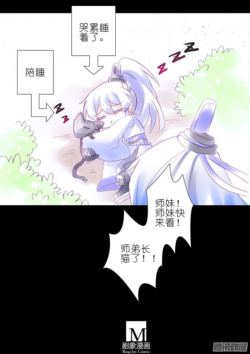 我家大师兄脑子有坑番外：忽然养只猫3
