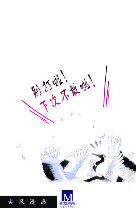 我家大师兄脑子有坑我话来了