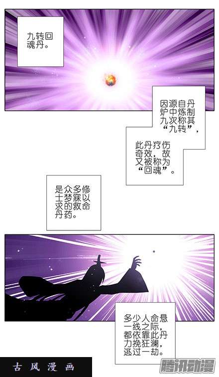 我家大师兄脑子有坑九转话魂丹