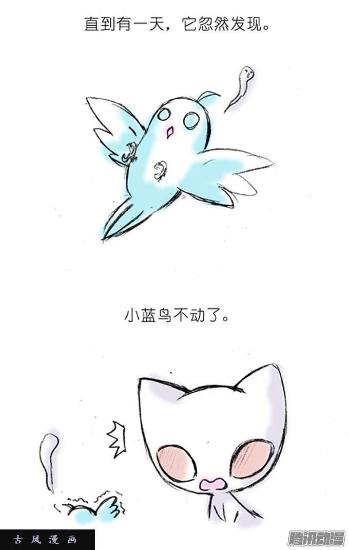 我家大师兄脑子有坑特别篇4：我好喜欢小蓝鸟的……