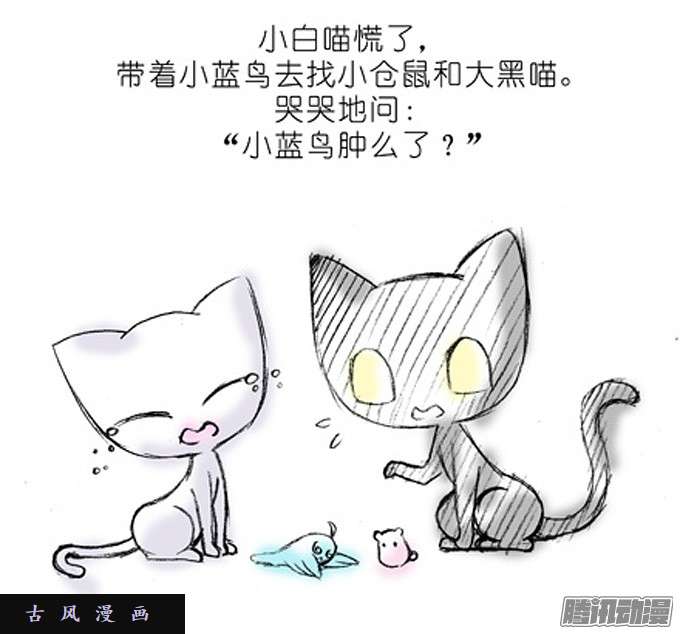 我家大师兄脑子有坑特别篇4：我好喜欢小蓝鸟的……