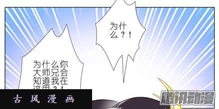 我家大师兄脑子有坑小贱人