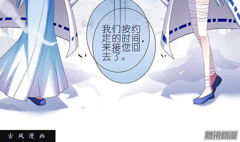 我家大师兄脑子有坑迎接