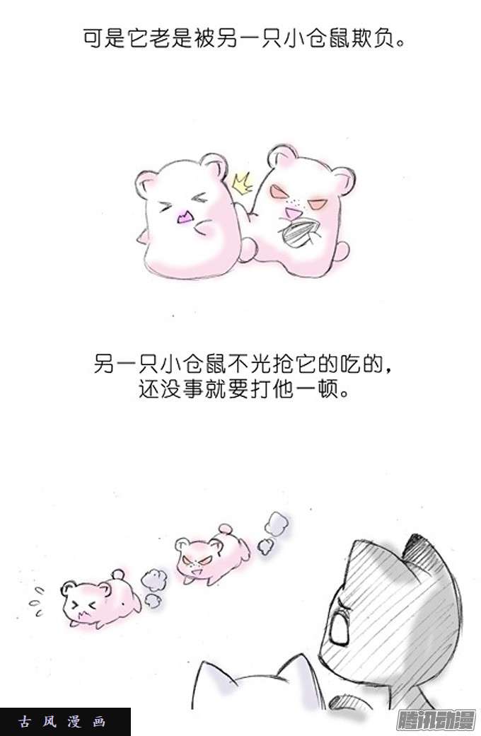 我家大师兄脑子有坑特别篇3：你们喵不懂