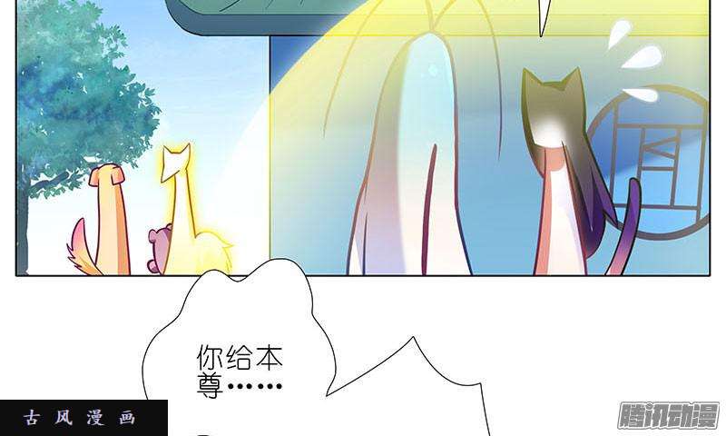 我家大师兄脑子有坑龙阳之好
