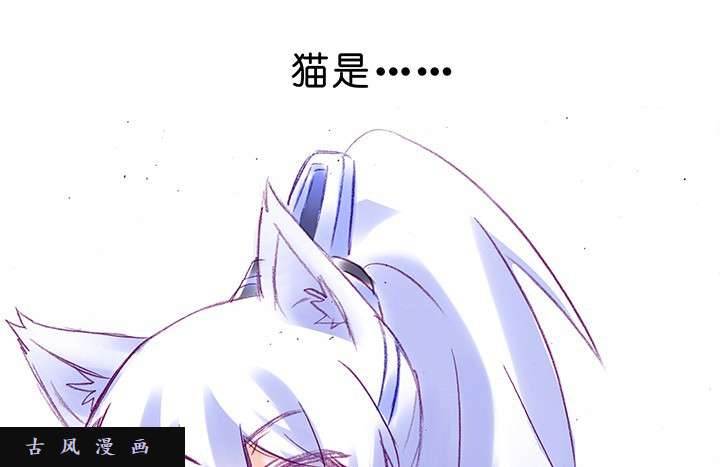 我家大师兄脑子有坑番外飞星喵1 喵界之耻