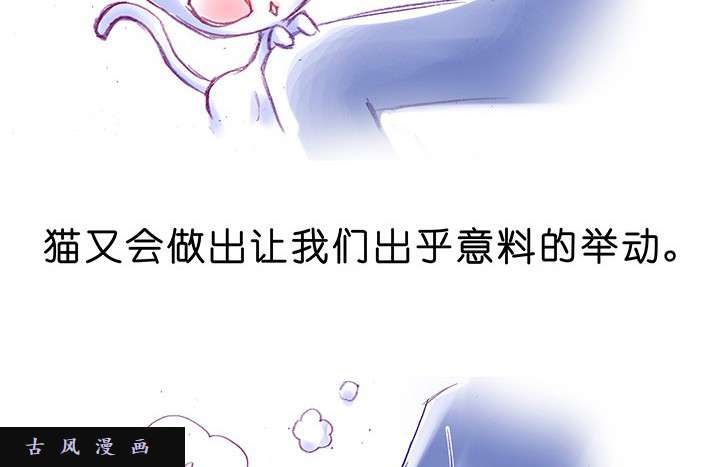 我家大师兄脑子有坑番外飞星喵1 喵界之耻