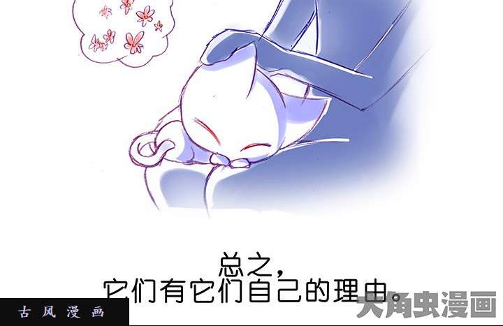 我家大师兄脑子有坑番外飞星喵1 喵界之耻